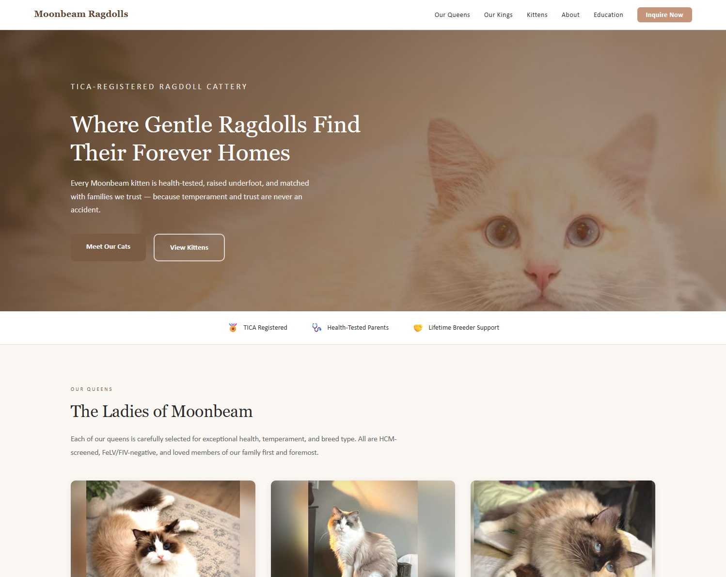 Moonbeam Ragdolls website screenshot